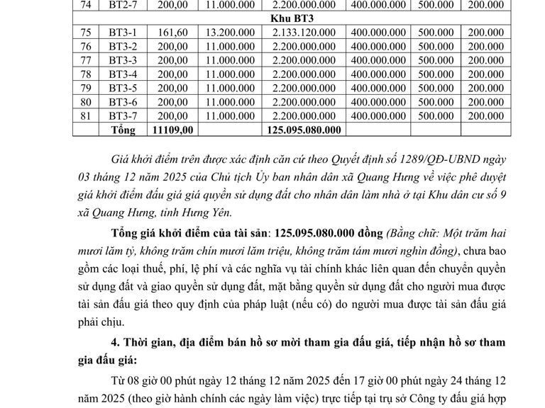 Quyền sử dụng 81 suất đất (đợt 1) cho nhân dân làm nhà ở tại Khu dân cư số 9 xã Quang Hưng, tỉnh Hưng Yên — ảnh 3