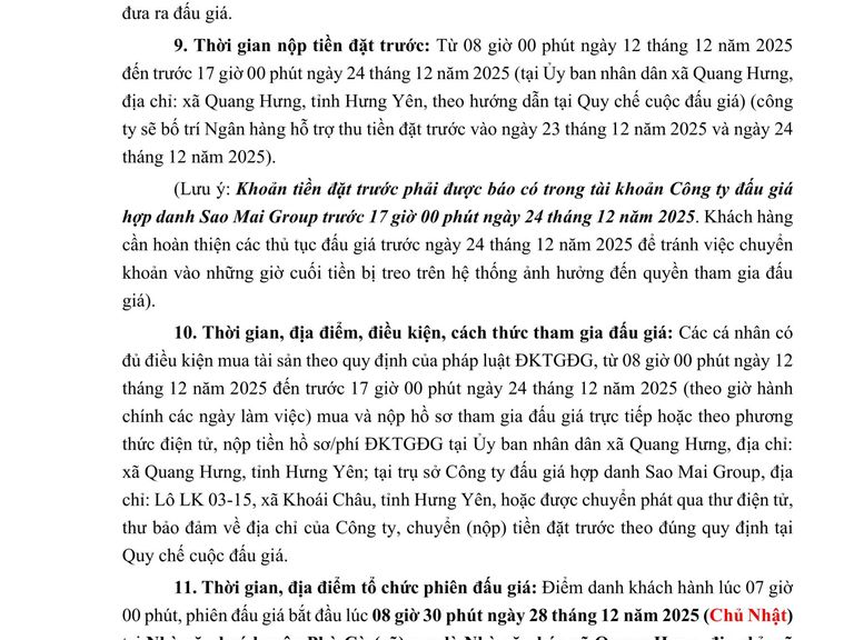 Quyền sử dụng 81 suất đất (đợt 1) cho nhân dân làm nhà ở tại Khu dân cư số 9 xã Quang Hưng, tỉnh Hưng Yên — ảnh 4